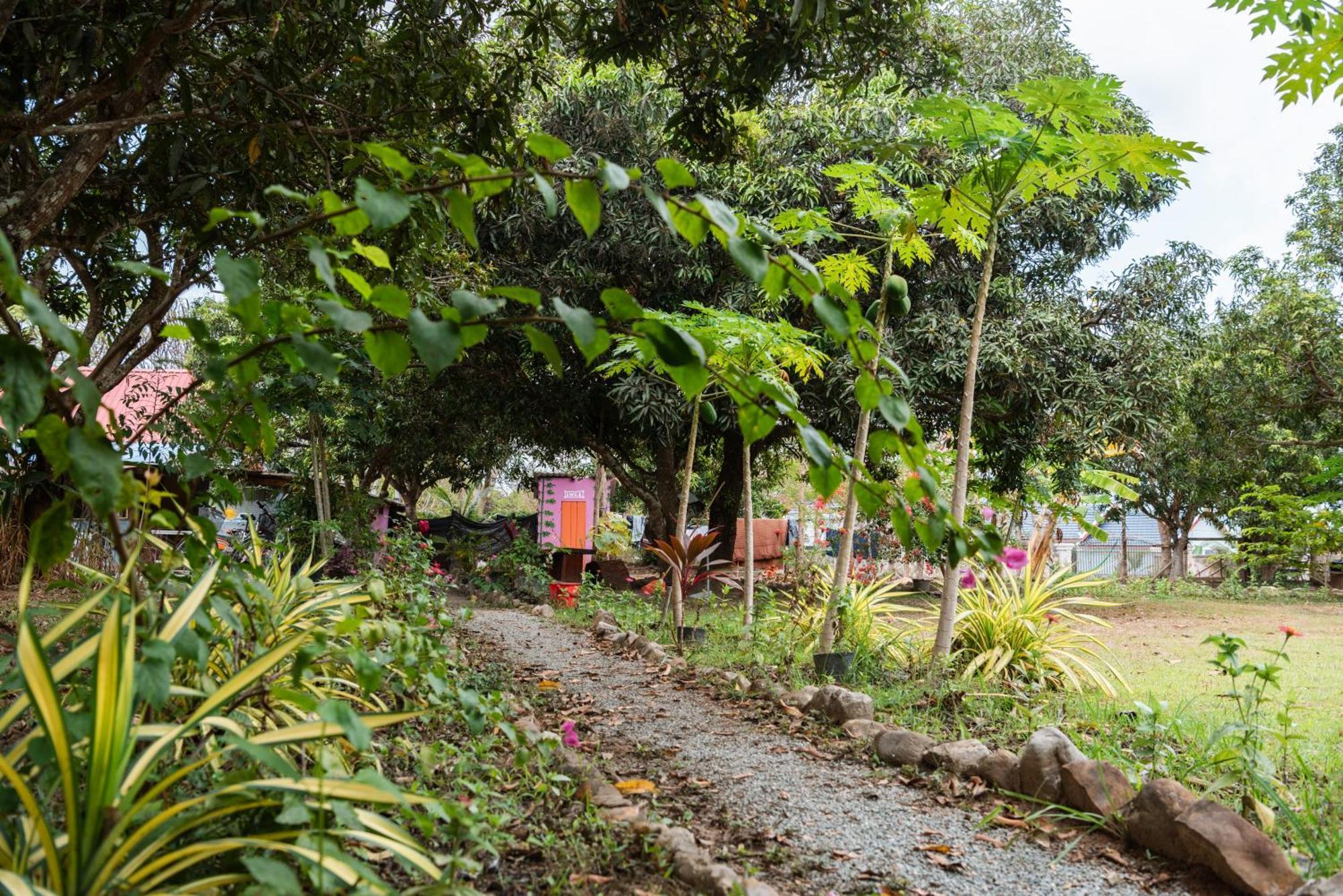 Le Soleil Hotel Kep Bagian luar foto