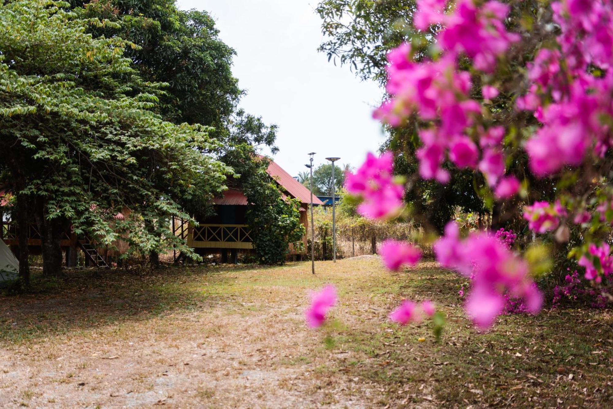 Le Soleil Hotel Kep Bagian luar foto